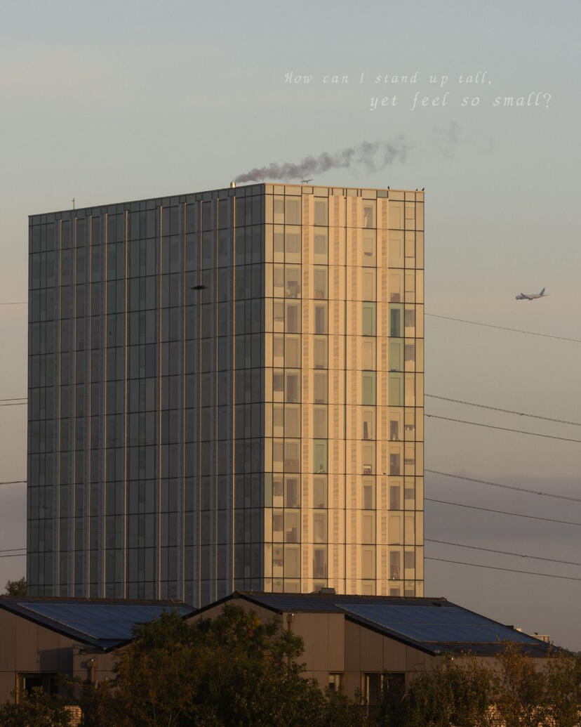 Untitled Untitled